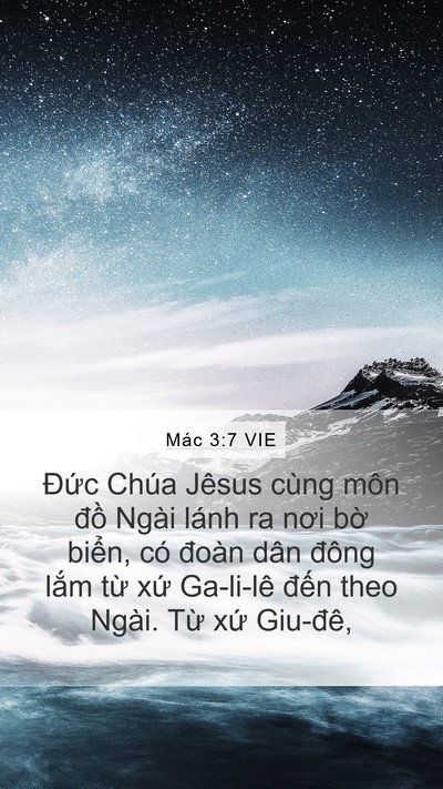 Mác 3:7 VIE Bible Verse Image