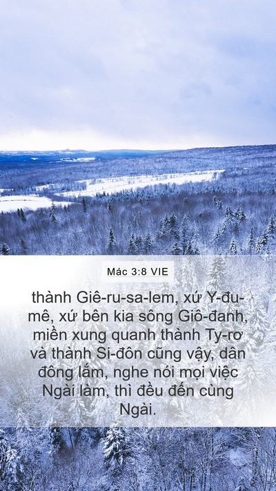 Mác 3:8 VIE Bible Verse Image