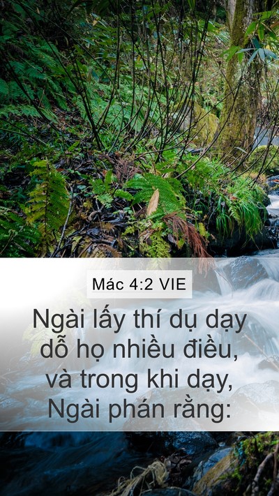 Mác 4:2 VIE Bible Verse Image