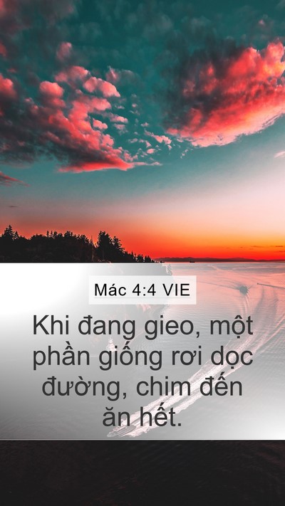 Mác 4:4 VIE Mobile Phone Wallpaper - Khi đang gieo, một phần giống rơi dọc - Mobile Bible Verse Wallpaper