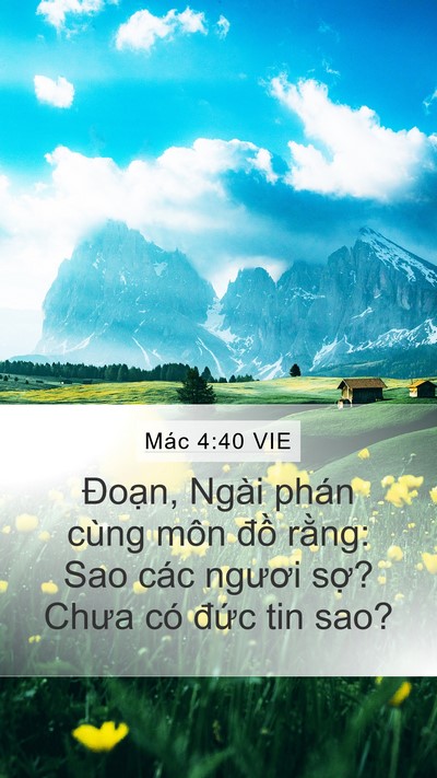 Mác 4:40 VIE Bible Verse Image