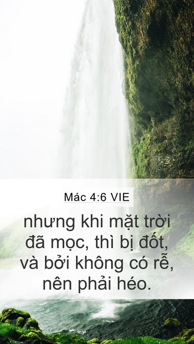 Mác 4:6 VIE Bible Verse Image