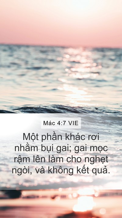 Mác 4:7 VIE Bible Verse Image