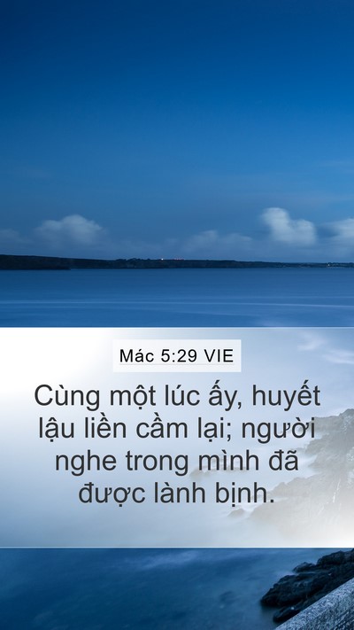 Mác 5:29 VIE Bible Verse Image