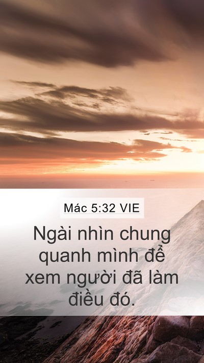 Mác 5:32 VIE Mobile Phone Wallpaper - Ngài nhìn chung quanh mình để xem người - Mobile Bible Verse Wallpaper