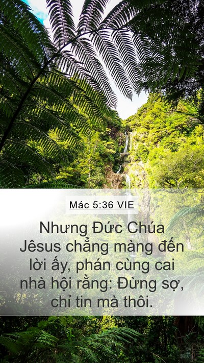 Mác 5:36 VIE Bible Verse Image