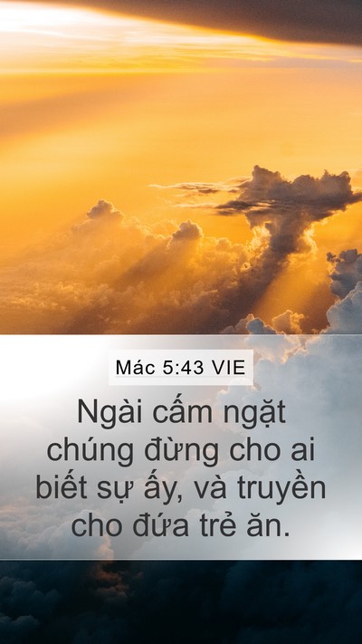 Mác 5:43 VIE Bible Verse Image