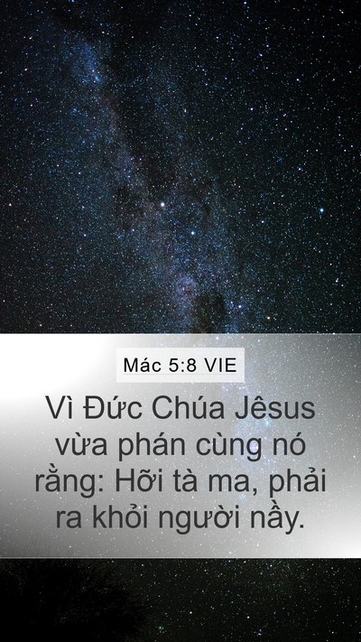 Mác 5:8 VIE Bible Verse Image