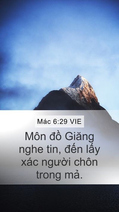 Mác 6:29 VIE Mobile Phone Wallpaper - Môn đồ Giăng nghe tin, đến lấy xác - Mobile Bible Verse Wallpaper
