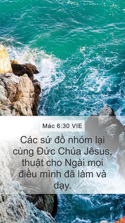 Mác 6:30 VIE Bible Verse Image