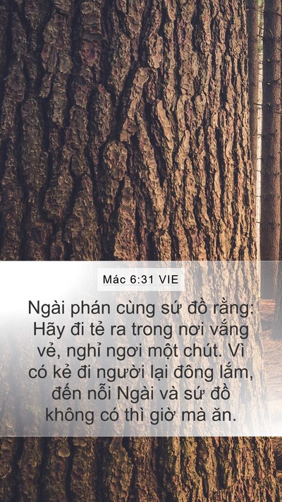 Mác 6:31 VIE Mobile Phone Wallpaper - Ngài phán cùng sứ đồ rằng: Hãy đi - Mobile Bible Verse Wallpaper