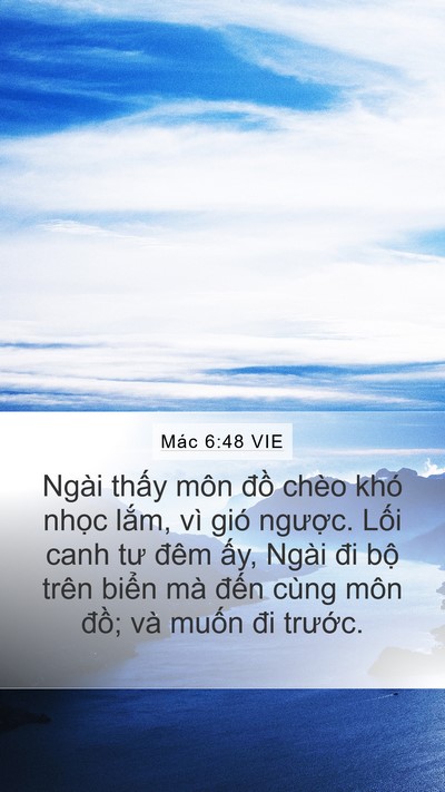 Mác 6:48 VIE Bible Verse Image