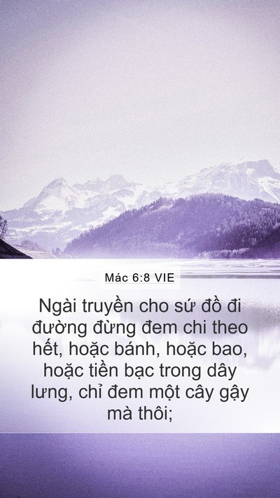 Mác 6:8 VIE Bible Verse Image