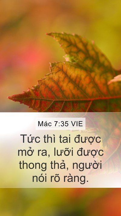 Mác 7:35 VIE Bible Verse Image