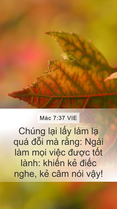 Mác 7:37 VIE Bible Verse Image