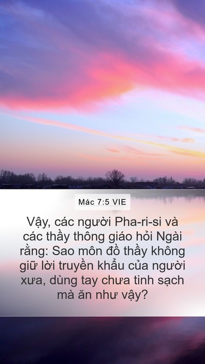Mác 7:5 VIE Bible Verse Image