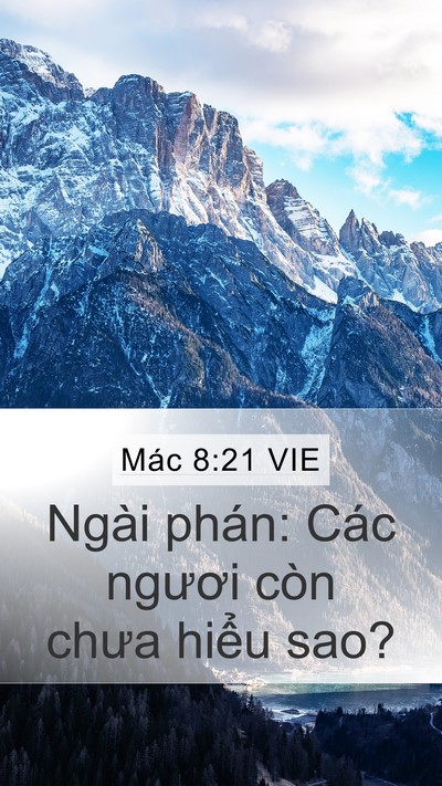 Mác 8:21 VIE Bible Verse Image