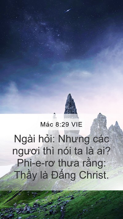 Mác 8:29 VIE Bible Verse Image