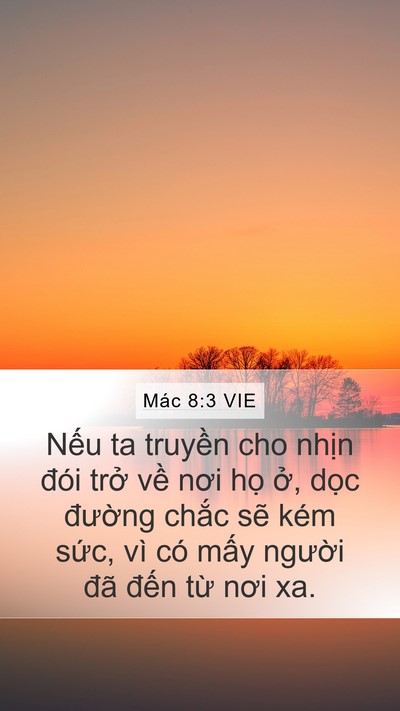 Mác 8:3 VIE Bible Verse Image