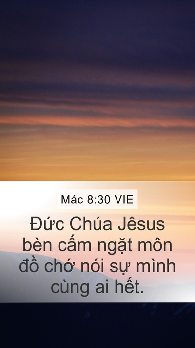 Mác 8:30 VIE Bible Verse Image