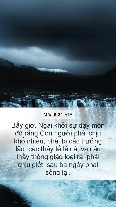 Mác 8:31 VIE Bible Verse Image