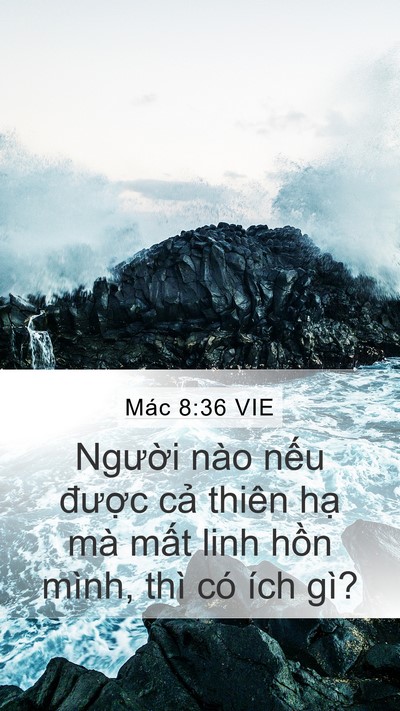 Mác 8:36 VIE Bible Verse Image