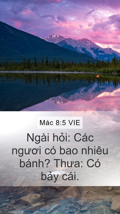 Mác 8:5 VIE Bible Verse Image