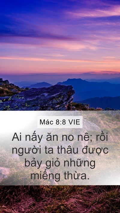 Mác 8:8 VIE Bible Verse Image