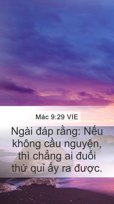 Mác 9:29 VIE Mobile Phone Wallpaper - Ngài đáp rằng: Nếu không cầu nguyện, - Mobile Bible Verse Wallpaper