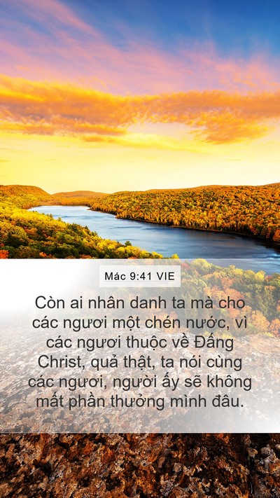 Mác 9:41 VIE Bible Verse Image