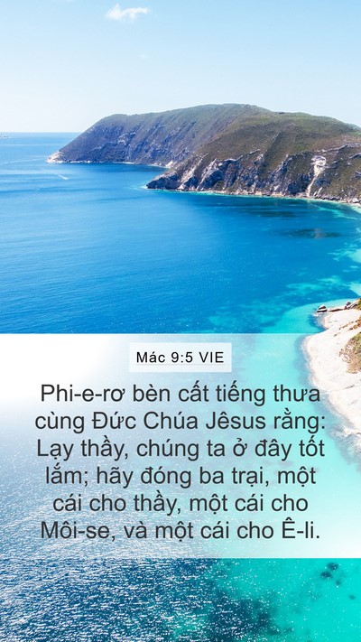 Mác 9:5 VIE Bible Verse Image