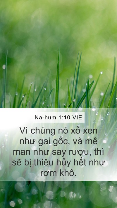 Na-hum 1:10 VIE Bible Verse Image