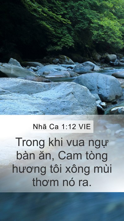 Nhã Ca 1:12 VIE Bible Verse Image