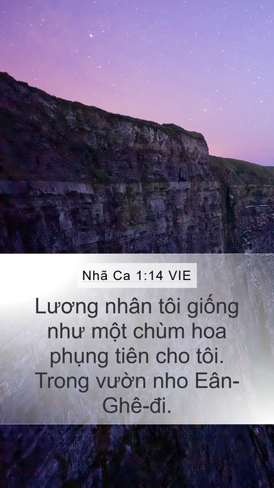 Nhã Ca 1:14 VIE Bible Verse Image