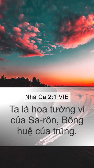 Nhã Ca 2:1 VIE Bible Verse Image