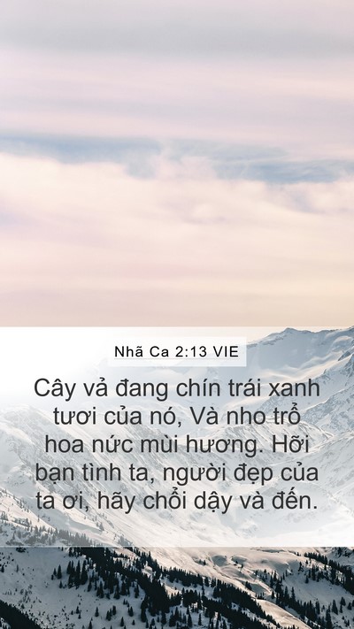 Nhã Ca 2:13 VIE Bible Verse Image
