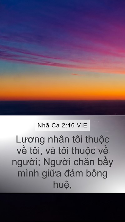 Nhã Ca 2:16 VIE Bible Verse Image