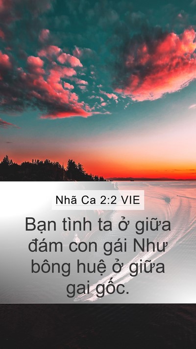Nhã Ca 2:2 VIE Bible Verse Image