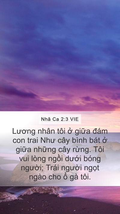 Nhã Ca 2:3 VIE Bible Verse Image