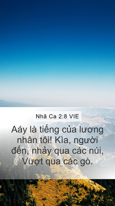 Nhã Ca 2:8 VIE Bible Verse Image