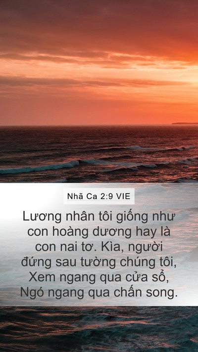 Nhã Ca 2:9 VIE Bible Verse Image