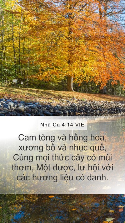 Nhã Ca 4:14 VIE Bible Verse Image