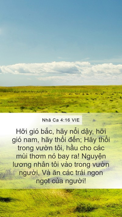 Nhã Ca 4:16 VIE Mobile Phone Wallpaper - Hỡi gió bắc, hãy nổi dậy, hỡi gió - Mobile Bible Verse Wallpaper