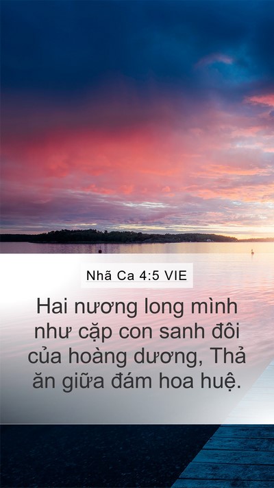 Nhã Ca 4:5 VIE Bible Verse Image