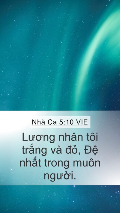 Nhã Ca 5:10 VIE Mobile Phone Wallpaper - Lương nhân tôi trắng và đỏ, Đệ - Mobile Bible Verse Wallpaper