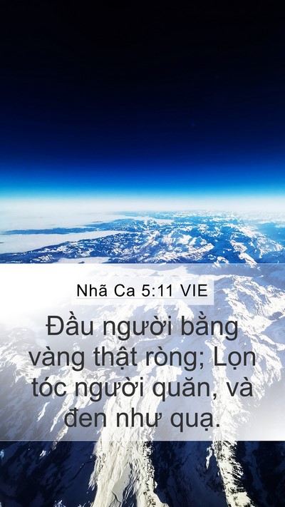 Nhã Ca 5:11 VIE Mobile Phone Wallpaper - Đầu người bằng vàng thật ròng; Lọn - Mobile Bible Verse Wallpaper