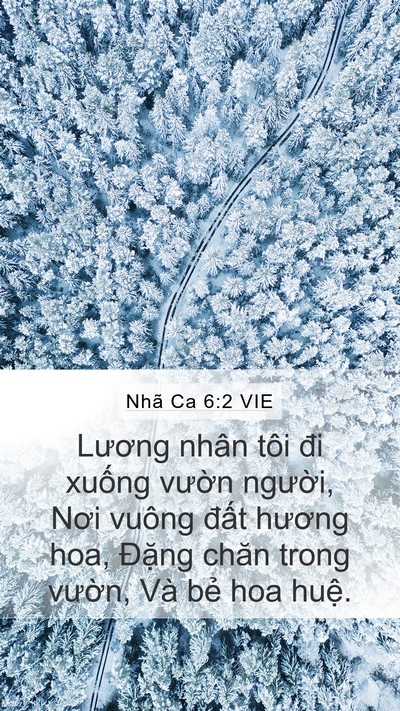 Nhã Ca 6:2 VIE Bible Verse Image
