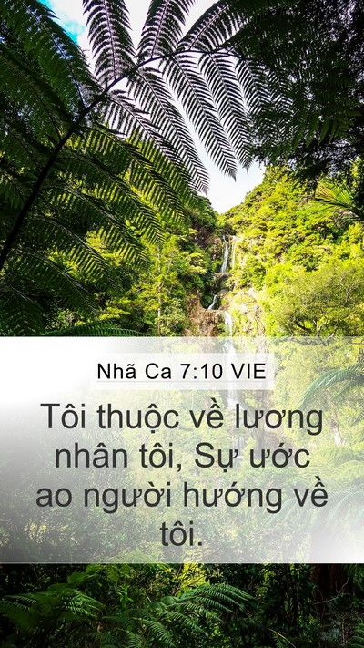 Nhã Ca 7:10 VIE Bible Verse Image