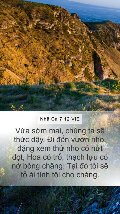 Nhã Ca 7:12 VIE Bible Verse Image