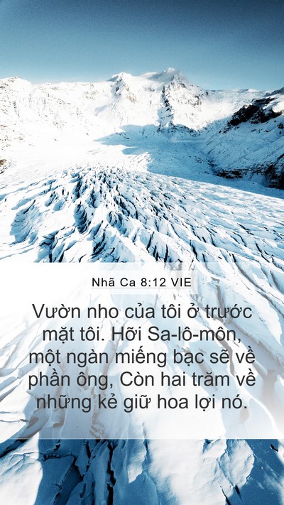 Nhã Ca 8:12 VIE Mobile Phone Wallpaper - Vườn nho của tôi ở trước mặt tôi. - Mobile Bible Verse Wallpaper